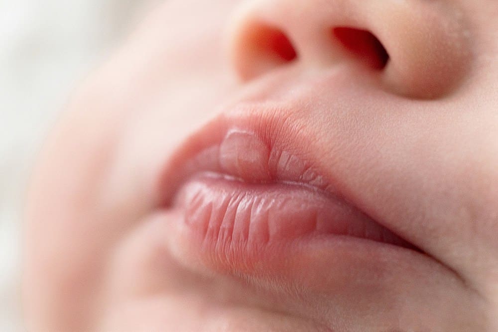 New Orleans newborn photographer; New Orleans family photographer; NOLA photographer; New Orleans photographer